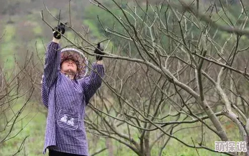 么公在果树林征服了我闺蜜四人行第二季携手共进勇敢追梦创造美好未来