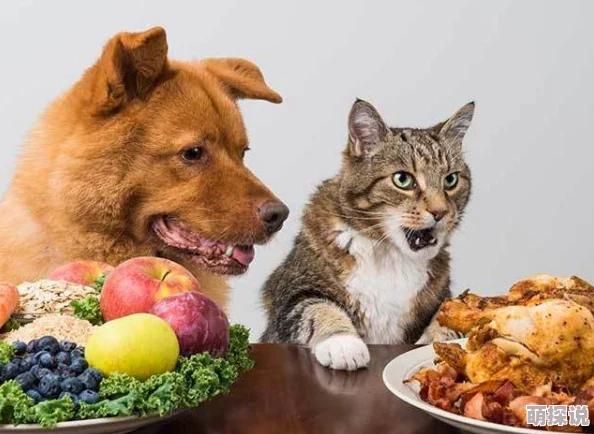 狗狗卡在我里面2天了兽医说需要手术取出