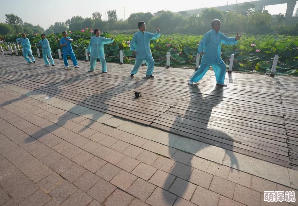 荷花直播探寻夏日荷塘美景感受清风与花香的宁静 荷花直播探寻夏日荷塘美景感受清风与花香的宁静