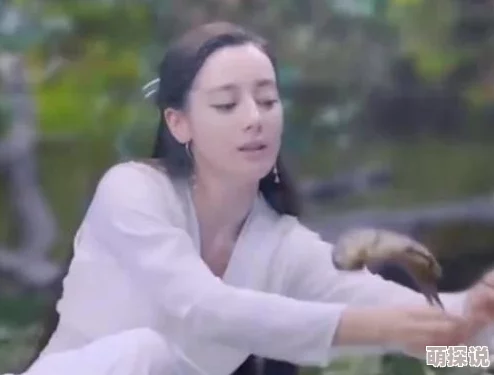 我的娇妻小说娇妻带球跑路总裁追妻火葬场 我的娇妻小说娇妻带球跑路总裁追妻火葬场