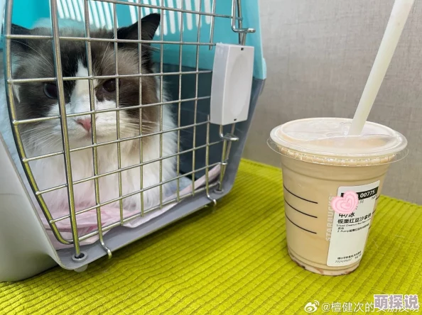 掌中香糙汉by喝杯奶茶听说作者大大最近沉迷撸猫还开了个猫主题奶茶店 掌中香糙汉by喝杯奶茶听说作者大大最近沉迷撸猫还开了个猫主题奶茶店