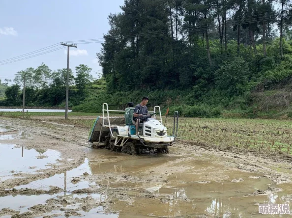 变身吧主公:2024热门战斗站位与出手顺序全解析 变身吧主公:2024热门战斗站位与出手顺序全解析