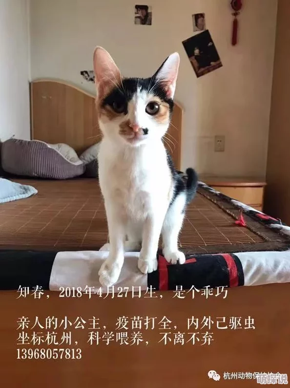 色就去色听说隔壁老王家的猫也爱看这剧还喜欢边看边磨爪子 色就去色听说隔壁老王家的猫也爱看这剧还喜欢边看边磨爪子