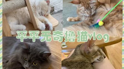 色就去色听说隔壁老王家的猫也爱看这剧还喜欢边看边磨爪子 色就去色听说隔壁老王家的猫也爱看这剧还喜欢边看边磨爪子