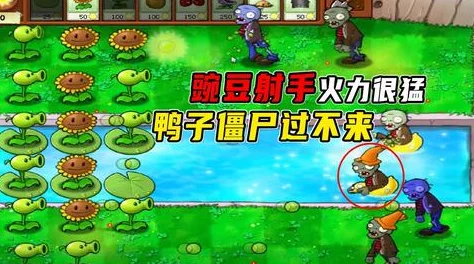 植物大战僵尸2:原始坚果墙实战表现与详细属性一览 植物大战僵尸2:原始坚果墙实战表现与详细属性一览