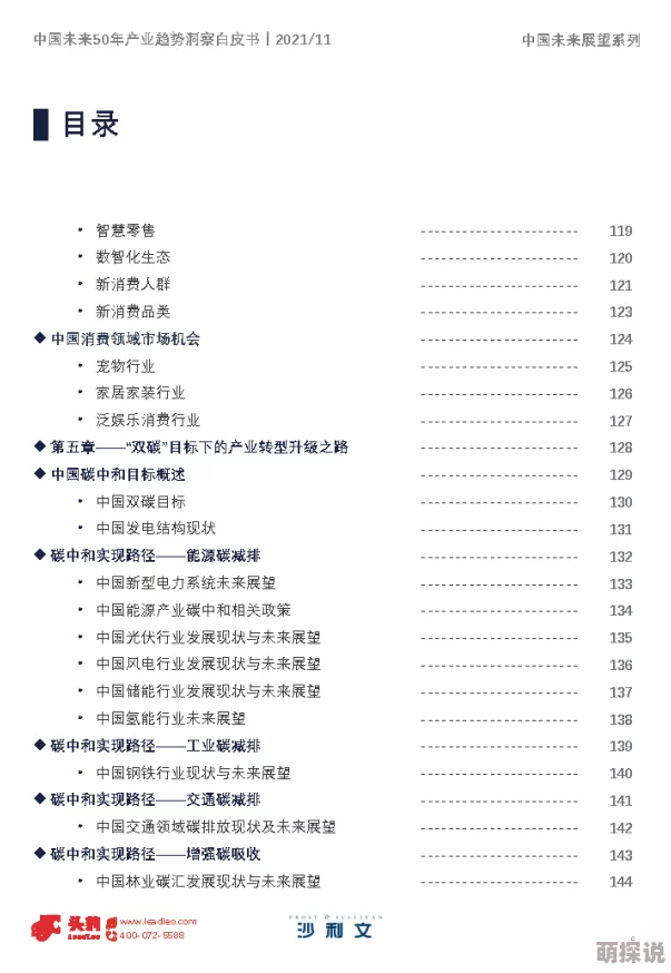 收入囊中校园HPN：最新进展与未来发展方向的深入分析与探讨