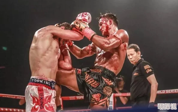 《太极熊猫》游戏后期死神套装备搭配全攻略及关键装备精选指南