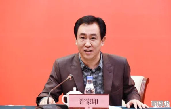 许家印玩白册册：深入解析其背后的商业策略与市场影响力，及其对房地产行业的潜在影响