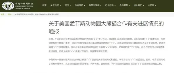 my43777免费域名查询：网友热议其便捷性与实用性，是否真能满足用户需求？
