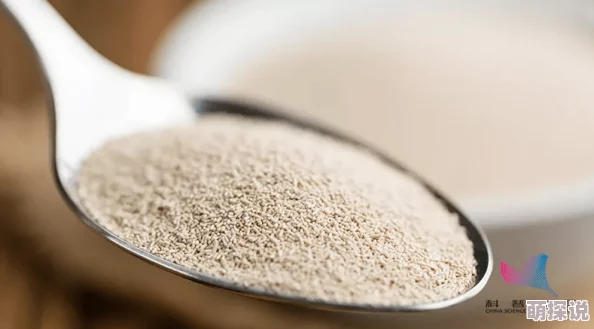 小洞吃火腿还是牛奶？内幕曝光：其实它更爱的是...