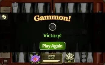 dicegame2透视可换皮肤，让游戏更加丰富多彩和有趣