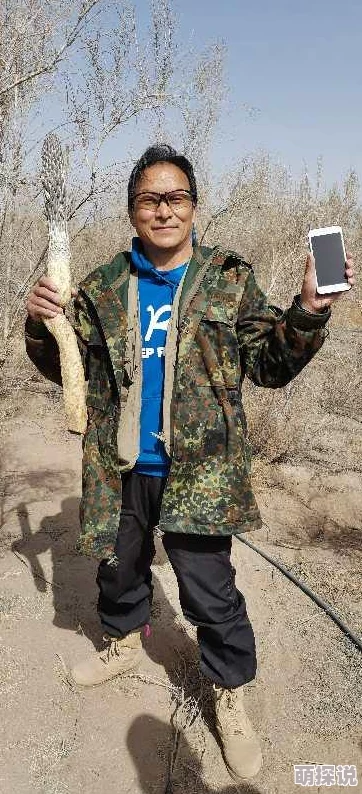 《太极熊猫黄沙使者》深度游戏攻略：全面解锁并掌握黄沙使者的战斗技巧