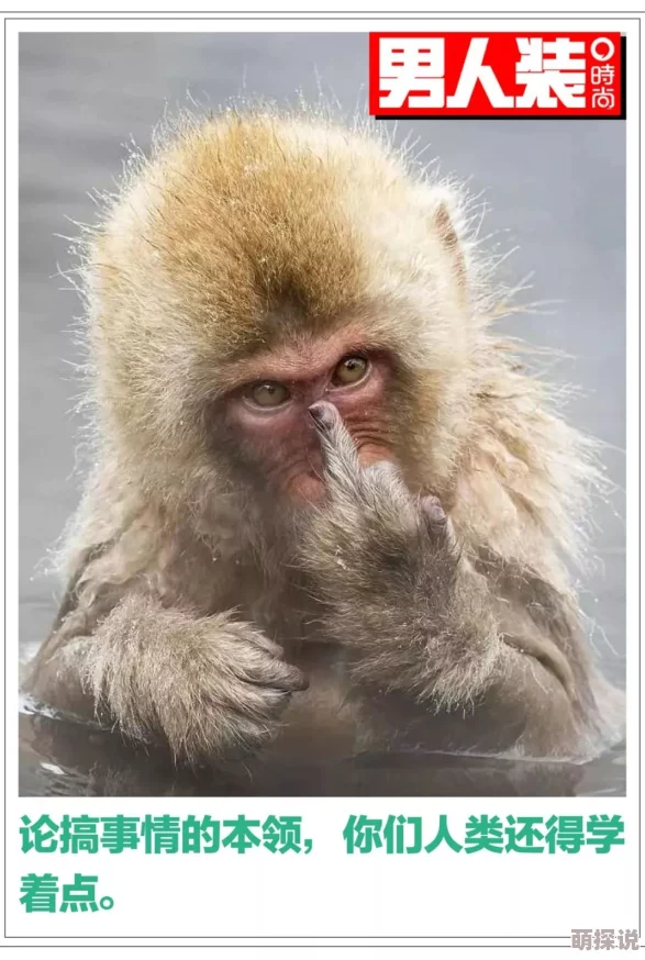 男生和女生生猴子不盖被子，竟引发校园热议，众人对这一奇闻议论纷纷！