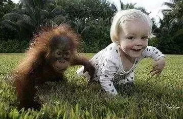 男生和女生生猴子不盖被子，竟引发校园热议，众人对这一奇闻议论纷纷！