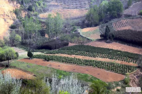 山里人家40一80李翠娥王富贵:探寻乡村生活的变迁与发展之路 山里人家40一80李翠娥王富贵:探寻乡村生活的变迁与发展之路