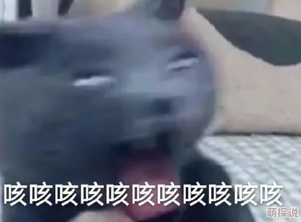 震惊！女在床上被男的插爽叫视频引发热议，网友纷纷评论：这究竟是怎样的场景？