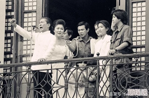 总统夫人法国满天星：这是一场关于总统夫人与法国文化交融的盛大活动，展现了她对艺术与时尚的独特理解和热爱