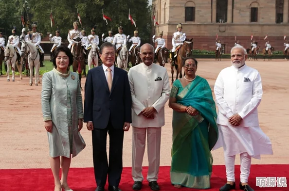 总统夫人法国满天星：这是一场关于总统夫人与法国文化交融的盛大活动，展现了她对艺术与时尚的独特理解和热爱