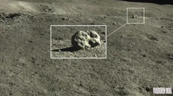 欲望公交：一辆公交车上竟发生惊天大事件，乘客们的反应令人震惊，真相曝光让人在意料之外！