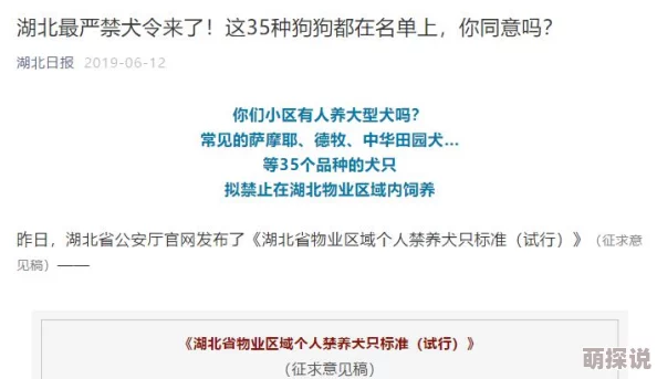 十八岁禁看：网友热议这一政策的合理性与影响，是否真的能保护青少年心理健康？