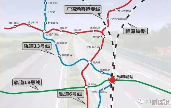 毛片xxxx：震惊！某知名明星被曝参与非法交易，背后真相令人难以置信！