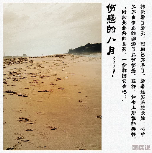 宠婢po沈殊辞:揭示沈殊辞与宠婢之间的复杂关系与情感纠葛,带你深入了解他们的故事背景与发展历程 宠婢po沈殊辞:揭示沈殊辞与宠婢之间的复杂关系与情感纠葛,带你深入了解他们的故事背景与发展历程