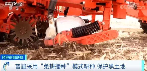 拔萝卜全程不盖被子：揭示农作物生长周期与气候条件的微妙关系及其对农业生产的影响