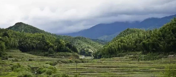 我国哪座城市以“剑瓷之都”的美名享誉海内外？今日答案：浙江龙泉