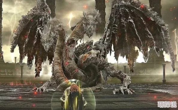探究艾尔登法环中，古龙族群哪个成员的实力最为强悍