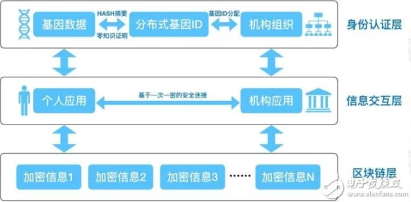 404黄：如何在数字时代保护个人隐私与数据安全的有效策略