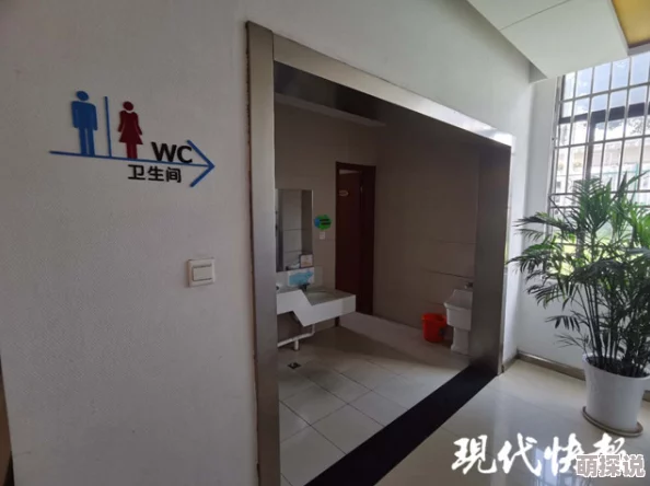 厕拍系列：揭示公共卫生间隐私问题的最新进展与社会反响分析
