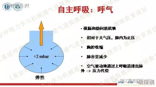 女性在巅峰时期抽搐的原因：科学家发现意想不到的生理机制，引发医学界震惊！