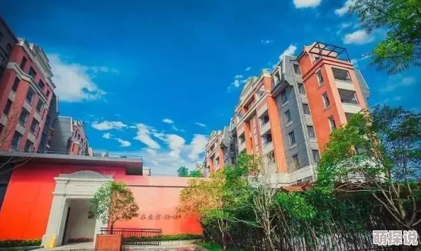 2对1：三人一次性体检2，健康检查新模式引发关注，提升了效率与体验感