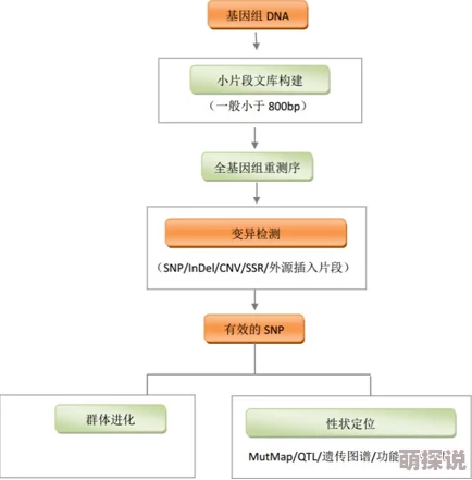 lubuntu在线路检测入口：如何有效使用lubuntu进行网络故障排除与连接性能分析技巧分享