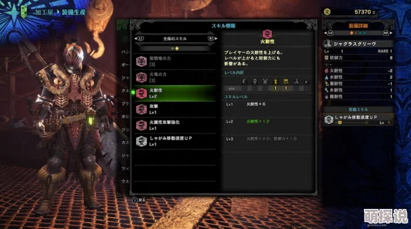 怪物猎人XX游戏中黑块套装具体指的是哪一个装备组合？