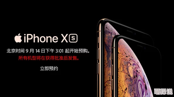 xsmax日本＂：探讨苹果XS Max在日本市场的销售表现、用户反馈及其对当地手机行业的影响