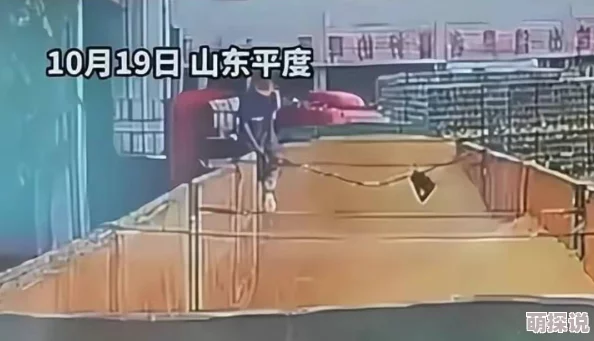 狠狠操免费视频：震惊！网友曝光不雅视频背后的真相，竟然牵扯出多个知名人士！