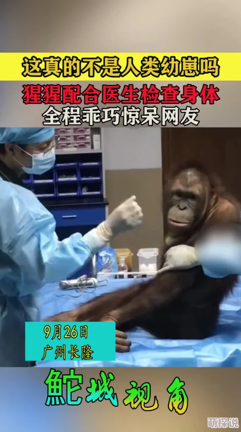 震惊！大喷水吹潮合集中文字幕竟然揭示了这些不为人知的秘密，网友们纷纷表示难以置信！