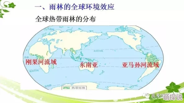 17c-：全球气候变化对生态系统的影响及应对策略分析，专家呼吁加强国际合作与政策支持