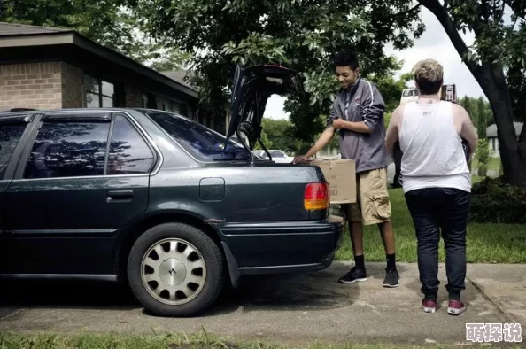 欧美性群另类大交人妖：最新动态揭示跨文化性别认同与社交平台的影响，吸引了越来越多年轻人的关注