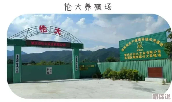 秋霞午夜伦午夜高清福利片：最新动态更新，带来更多精彩内容与观影体验，让你尽享视听盛宴