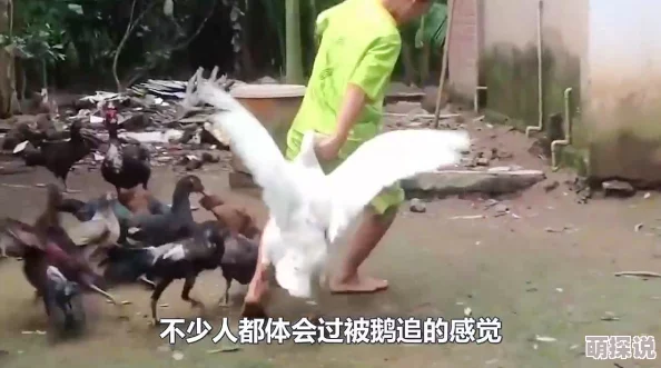 农村夫妇大白天啪啪，网友纷纷表示这种行为太过大胆，公共场合应注意隐私和他人感受