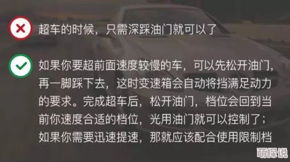 在夜色中悸动：啊用力啊好深的禁忌小黄文之旅