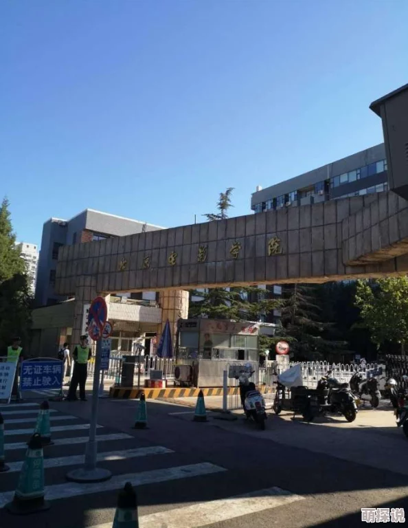 99精品大学生啪啪自拍：最新动态揭示大学生生活的多样性与个性化，展现年轻人的自信与活力
