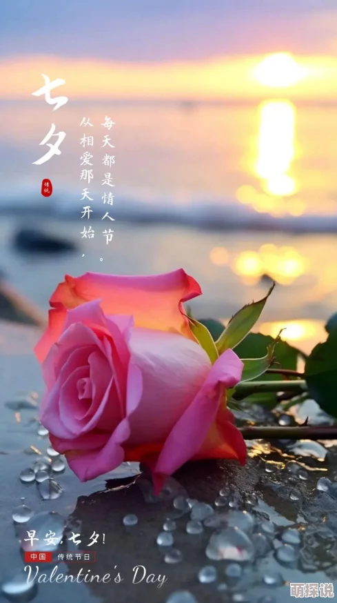 宝可梦大探险弯弯河流3-2高效通关攻略：详解技能躲避技巧与策略