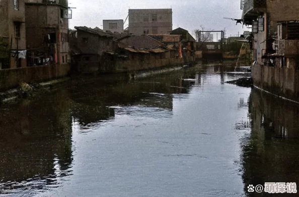 宝可梦大探险弯弯河流3-2高效通关攻略：详解技能躲避技巧与策略