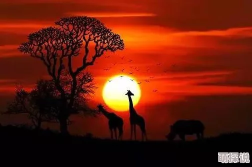 探索东北午夜的独特魅力:窝窝午夜*国产精品带你领略不一样的夜生活体验 探索东北午夜的独特魅力:窝窝午夜*国产精品带你领略不一样的夜生活体验