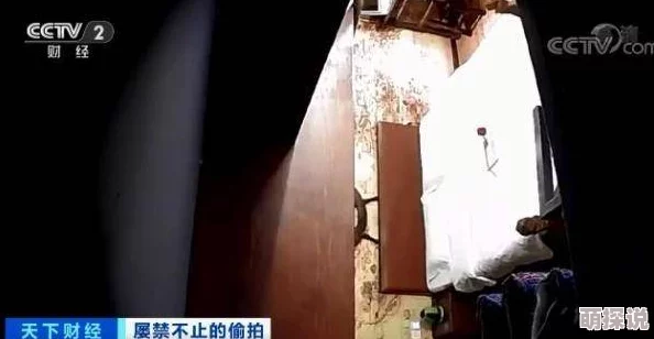 探索91高清在线制服偷拍的背后故事与社会影响，揭示隐秘世界的真相