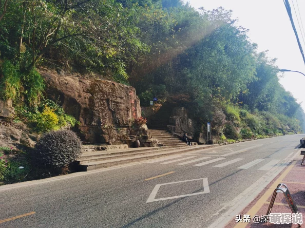 公交车上那些不为人知的故事：每一次出行都是一段奇妙的人生旅程