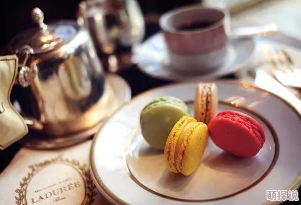 探索亚洲成肉网：揭示其在现代饮食文化中的重要性与影响力